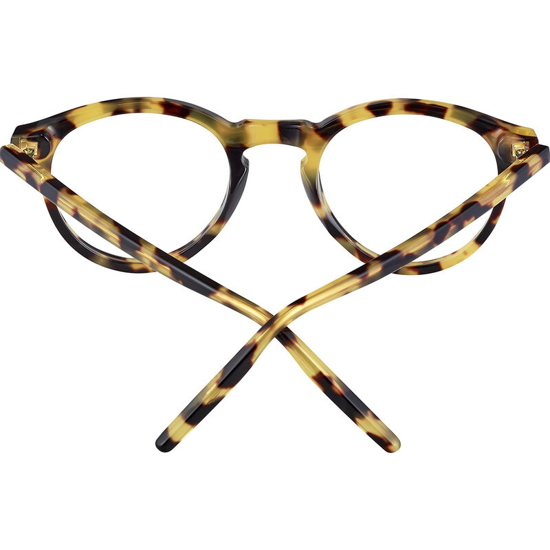 GABBY OPTIC, Shiny Classic Havana-Demo Lens, hi-res image number null